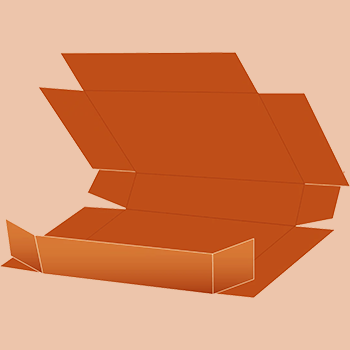 Custom-Made Five Panel Folder Boxes